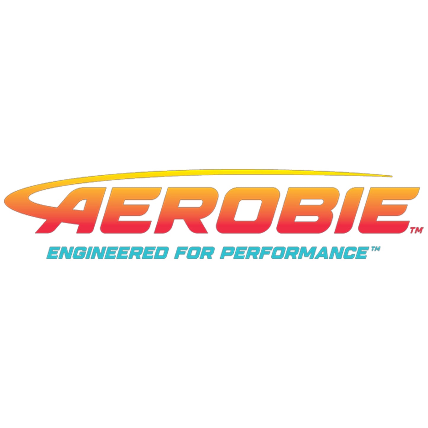 Aerobie Used Discs (6/10 or less)