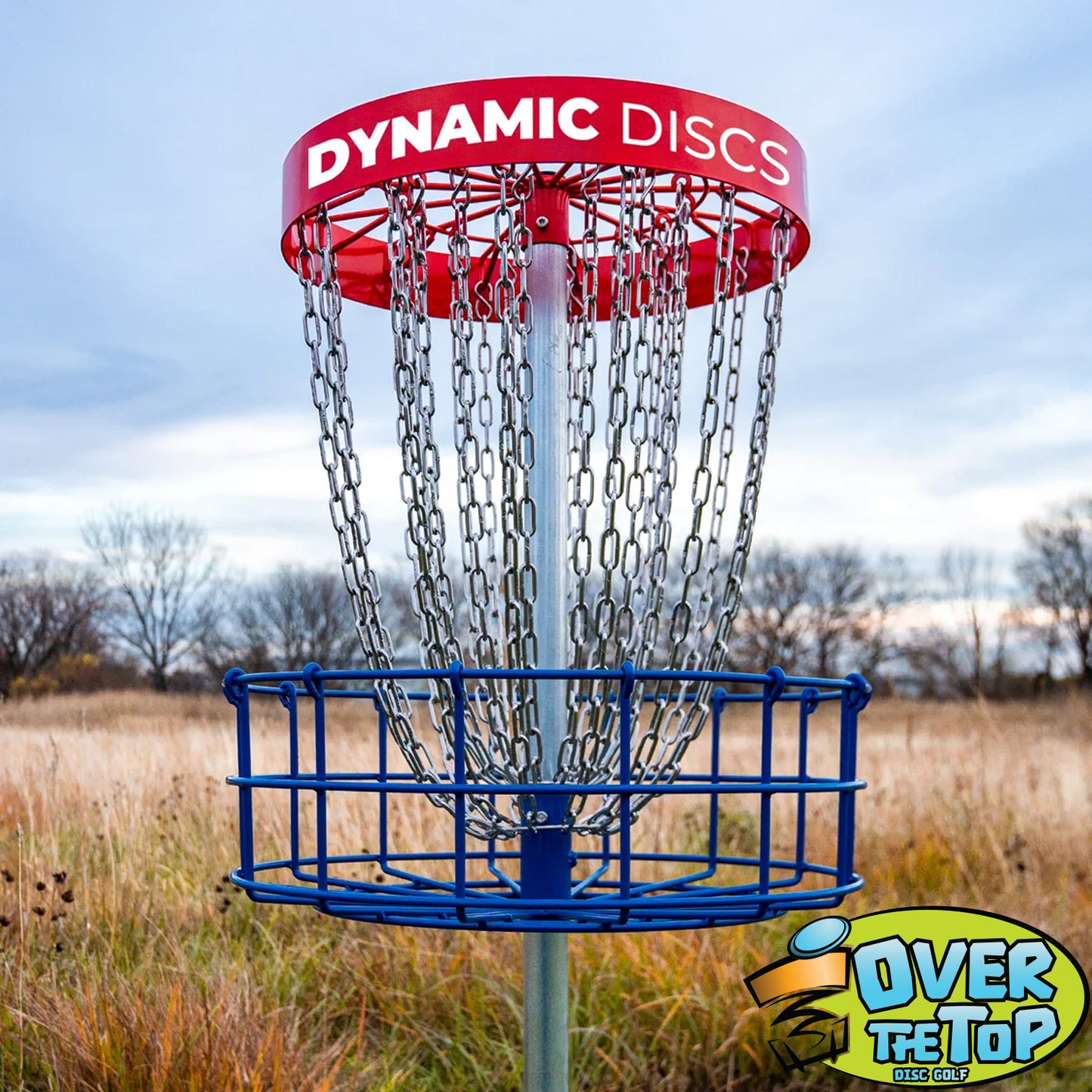 Dynamic Discs Veteran Basket