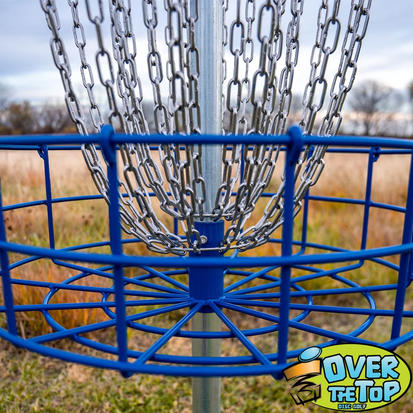 Dynamic Discs Veteran Basket