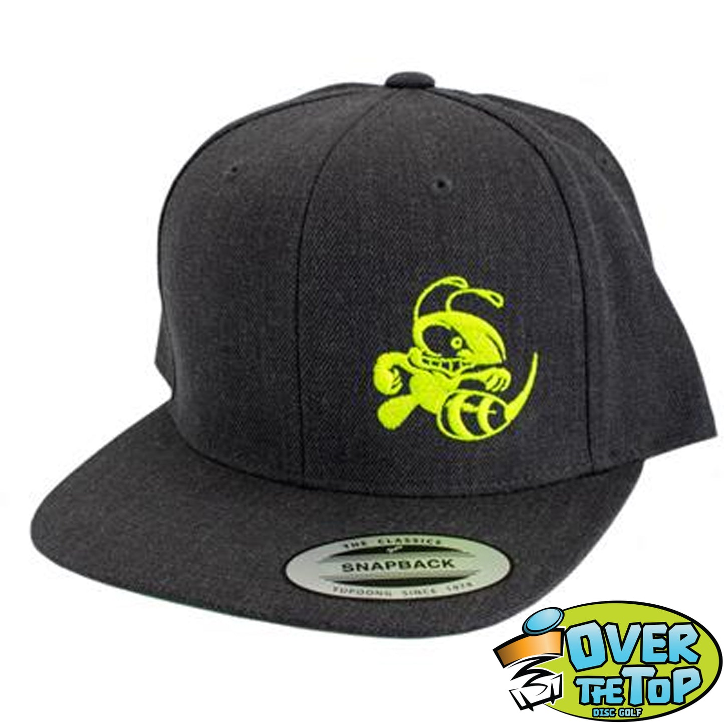 Discraft Buzzz Flat Bill Snapback Hat