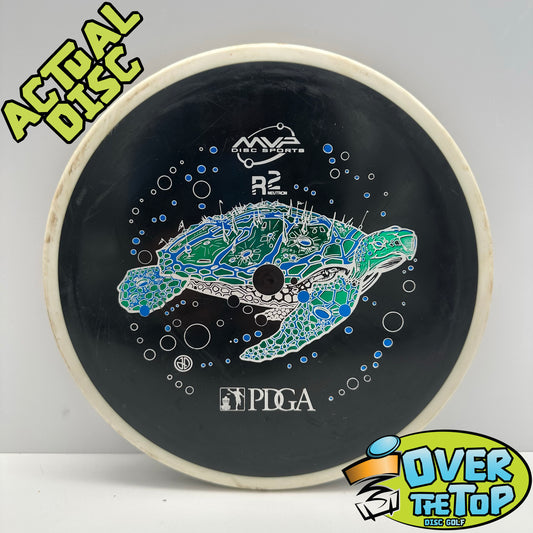 Relay R2 Neutron PDGA Stamp Used (5. LE/SE) 176g