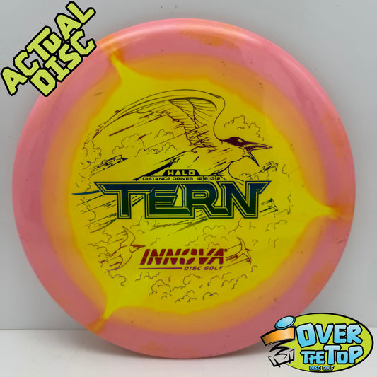 Tern Halo Star Used (7/10.Clean) 171g