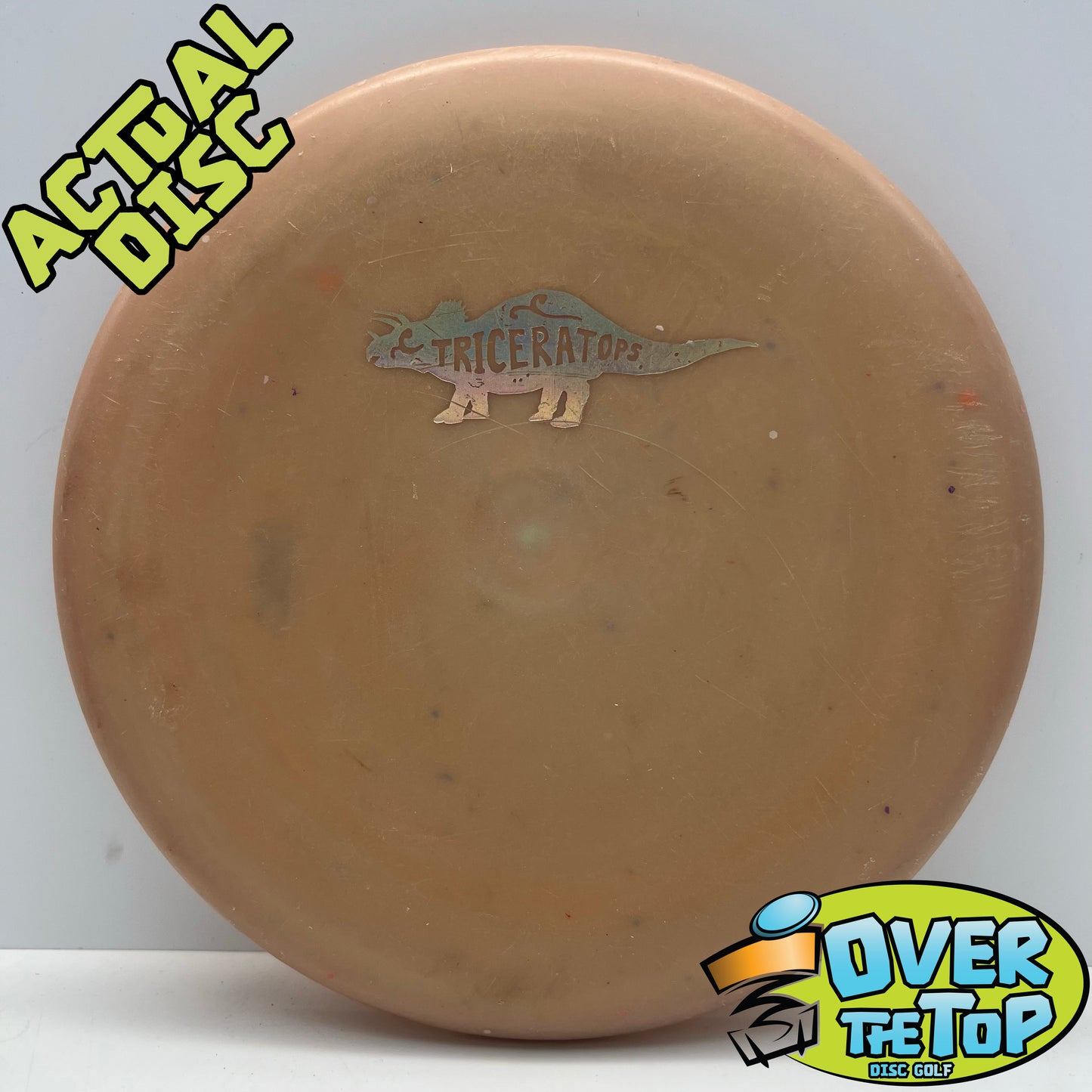 Triceratops Egg Shell Used (5. Clean) 123g