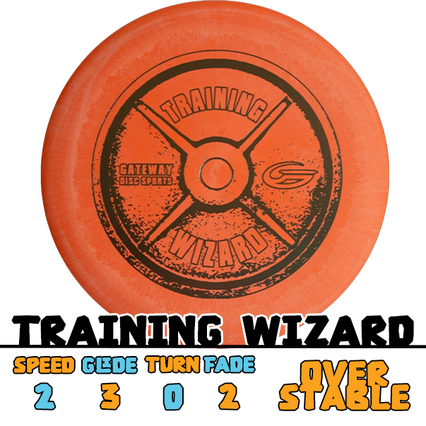 Gateway Training Wizard putter disc